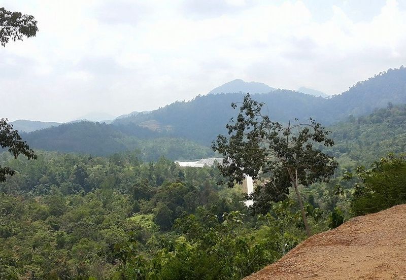 Retreat - Guarded, clubhouse, tarred road (5 acre)