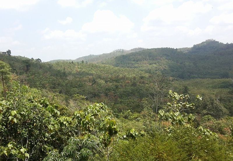 Retreat - Guarded, clubhouse, tarred road (5 acre)