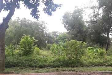 Bungalow Land Jalan Menara, Bukit Jelutong