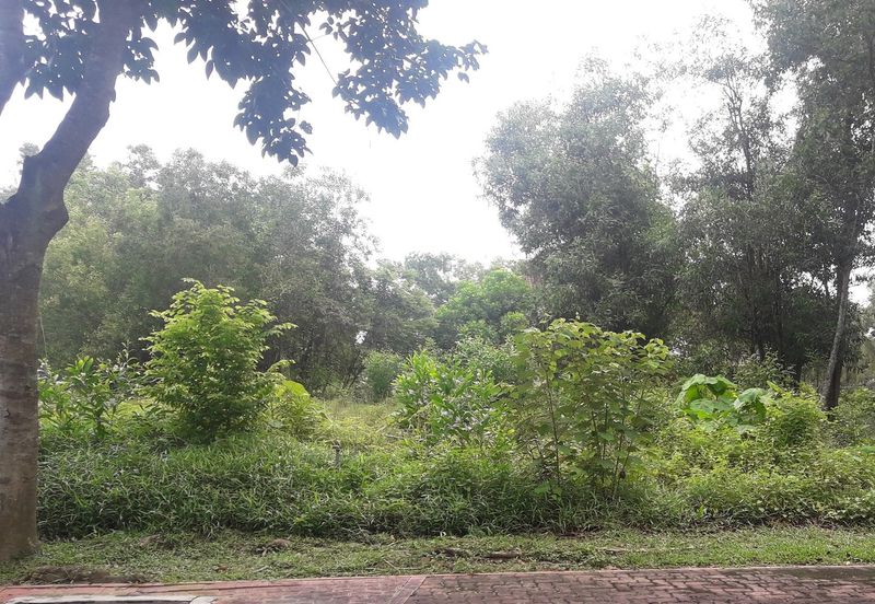 Bungalow Land Jalan Menara, Bukit Jelutong