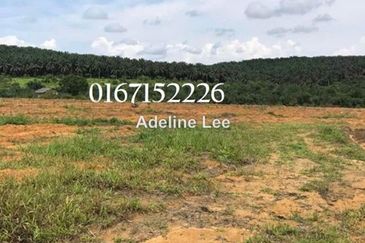 JALAN JOHOR BAHRU - KOTA TINGGI