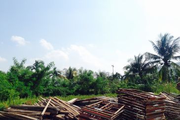 Tropicana Golf & Country Resort