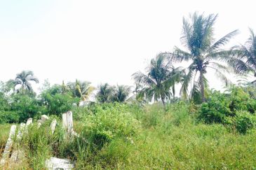 Tropicana Golf & Country Resort