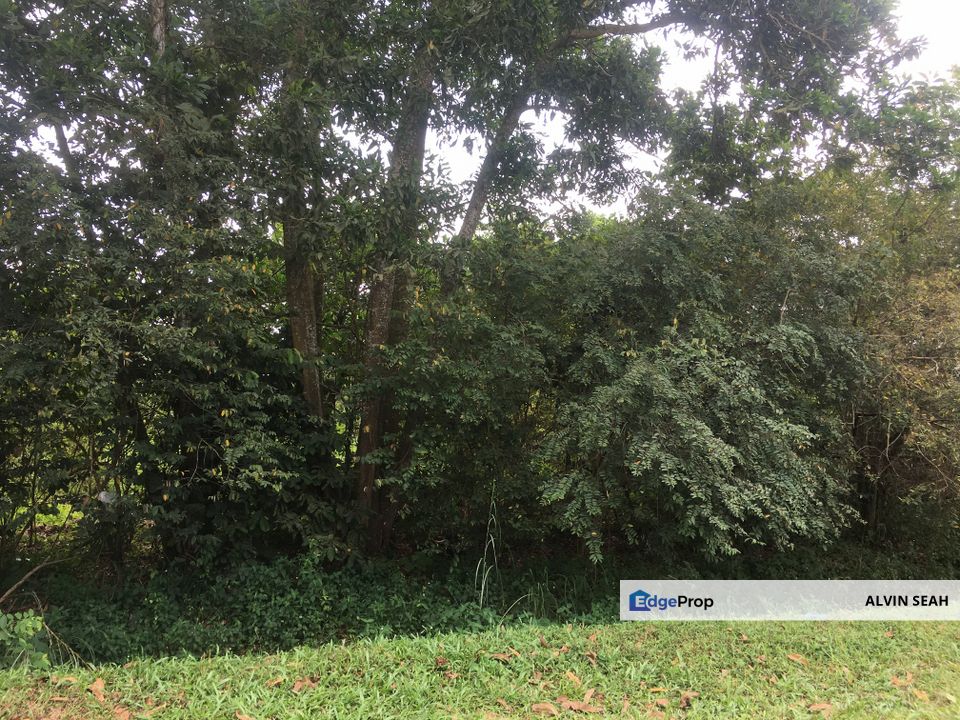 Tapah, Perak, Perak, Tapah