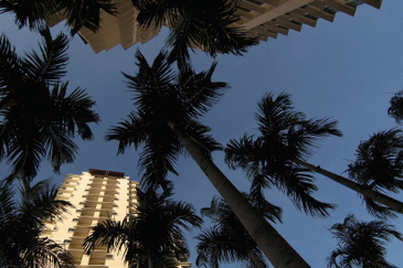 Desa ParkCity (Nadia Parkfront Condominium)