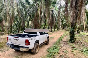 Agriculture Land@Seremban, Senawang, Rembau, Rantau For Sale