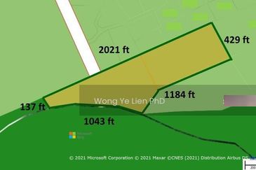 Sang Lee Durian Valley
