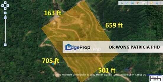 Durian Farm for  SALE : 8.2 acres, Bilut Hills, 27600 Raub District, Pahang, Pahang, Raub