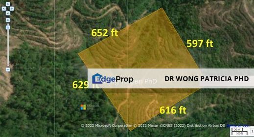 Durian Farm, 9 ac,  off Bukit Botak Lurah Bilut, jalan sin, 27600 Lurah Bilut, Pahang, Pahang, Raub