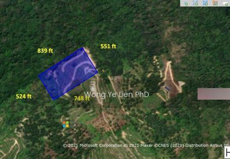 Sang Lee Durian Valley