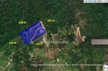 Sang Lee Durian Valley