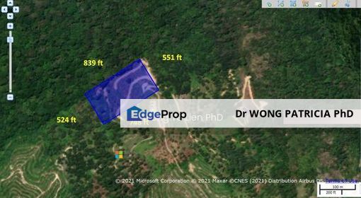 LAND FOR SALE :  9.55 acres with 2 streams, Sang Lee, Teras  27600 Raub District, Pahang, Pahang, Raub