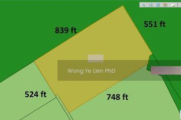 Sang Lee Durian Valley