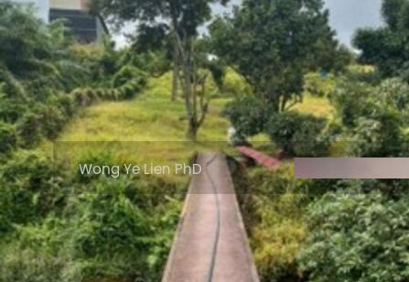 LAND, 2. 33 ac, Main Road, Kampung Simpang Panggung, 27200 Kuala Lipis, Pahang