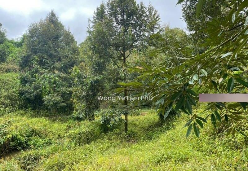 LAND, 2. 33 ac, Main Road, Kampung Simpang Panggung, 27200 Kuala Lipis, Pahang