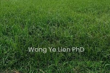 Tropicana Golf & Country Resort