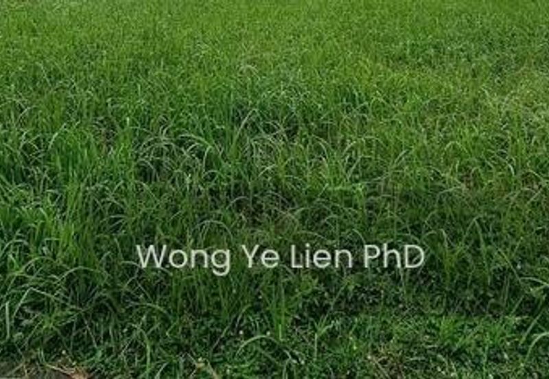 Tropicana Golf & Country Resort