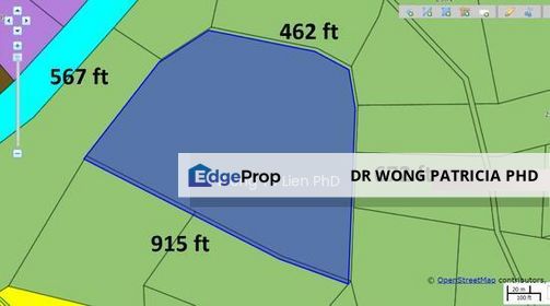 LAND Durian Farm, 9.75 ares, Batu 3, Jalan Lipis, 27600 Raub, Pahang, Pahang, Sega