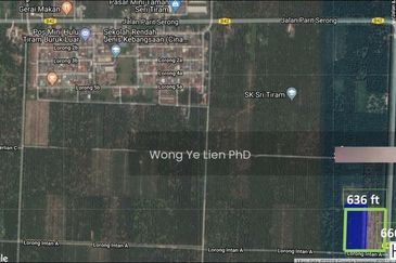 Pekan Tanjung Karang