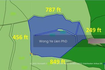 Balik Pulau / Teluk Bahang