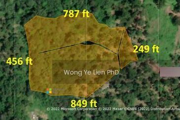 Balik Pulau / Teluk Bahang