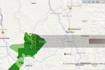 Land with palm oil trees for sale in dabong kelantan