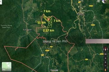 Land with palm oil trees for sale in dabong kelantan