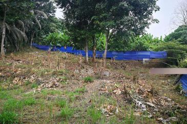 Pinggir Taman Tun Dr Ismail