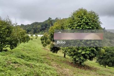 JALAN RAUB - SIMPANG SUNGAI RUAN