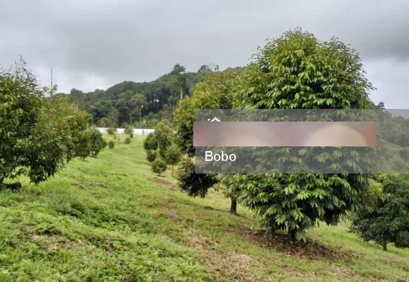 JALAN RAUB - SIMPANG SUNGAI RUAN