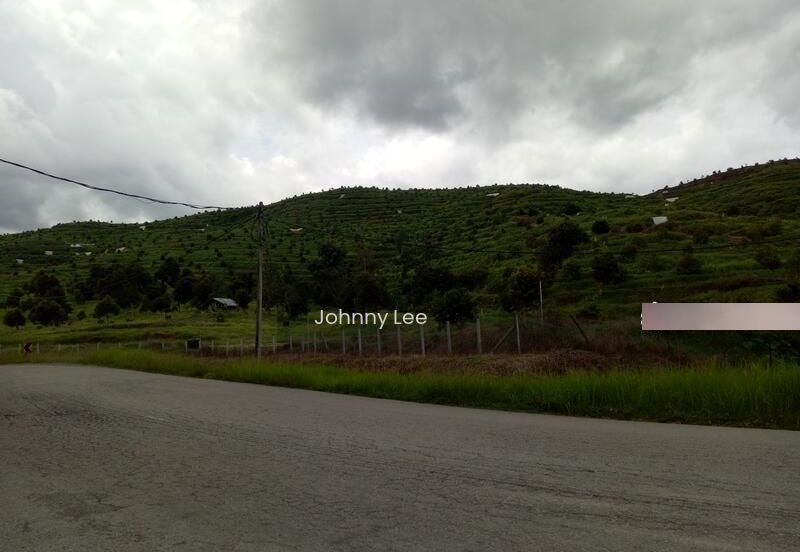 Bentong Karak Durian