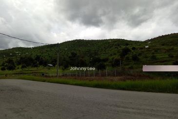 Bentong Karak Durian