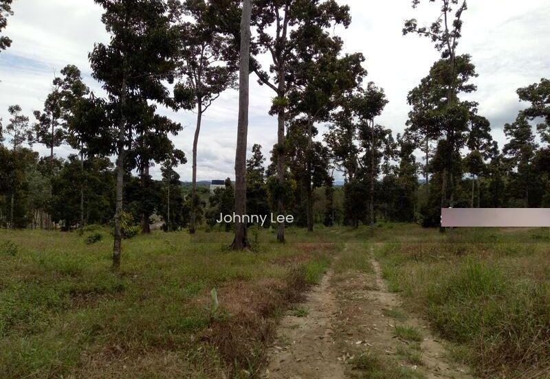 Bentong Karak Durian