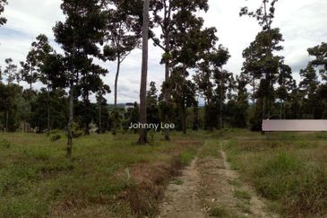 Bentong Karak Durian