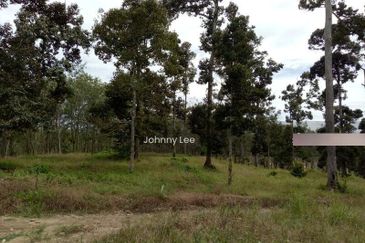 Bentong Karak Durian