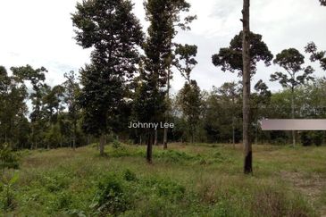 Bentong Karak Durian