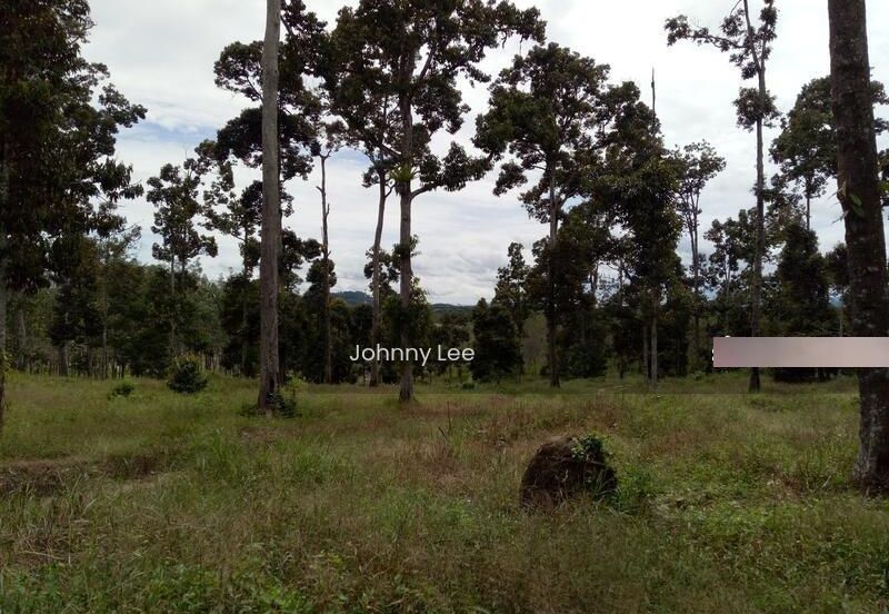 Bentong Karak Durian