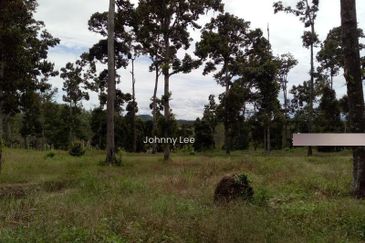 Bentong Karak Durian