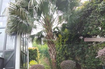 Bukit bandaraya bangsar