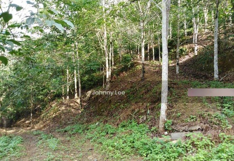 Karak Rubber Bentong