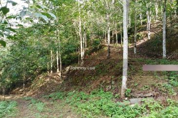 Karak Rubber Bentong