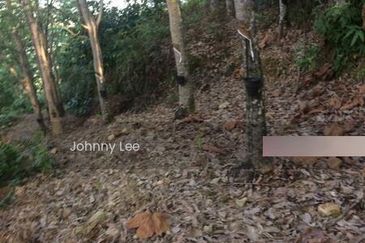 Karak Rubber Bentong