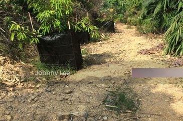 Karak Rubber Bentong