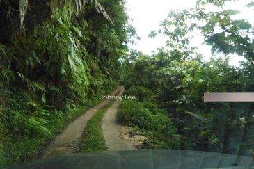 Karak Rubber Bentong