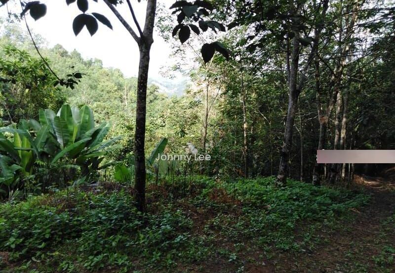 Karak Rubber Bentong