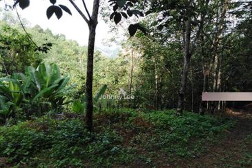 Karak Rubber Bentong