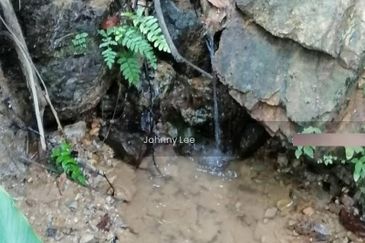 Karak Rubber Bentong