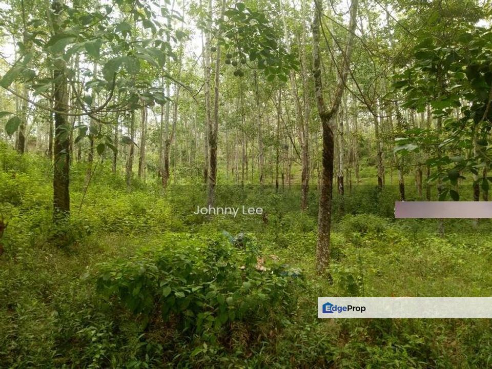 Kuala kubu baru, Selangor, Hulu Selangor