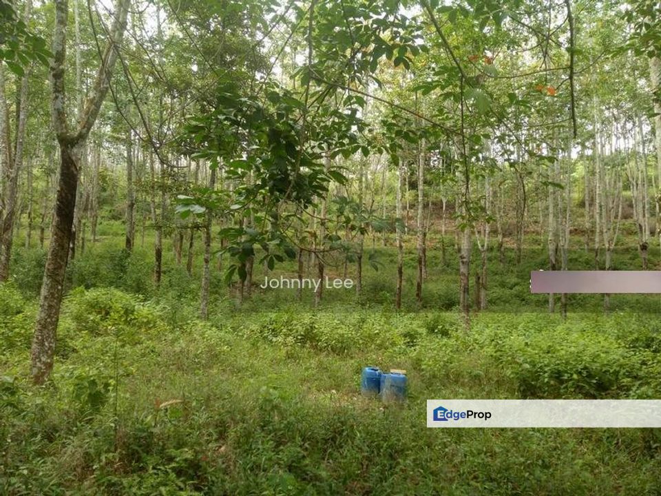 Kuala kubu baru, Selangor, Hulu Selangor