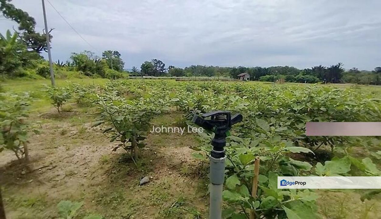 Rasa, Selangor, Hulu Selangor